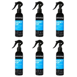 Animology Mucky Pup No Rinse Dog Shampoo Spray 6 x 250ml