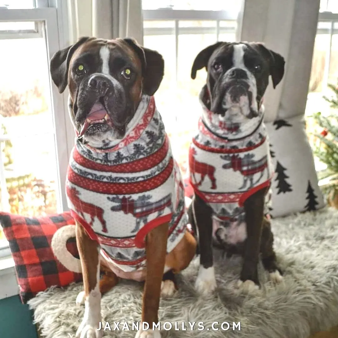 Aspen Holiday Dog Sweater