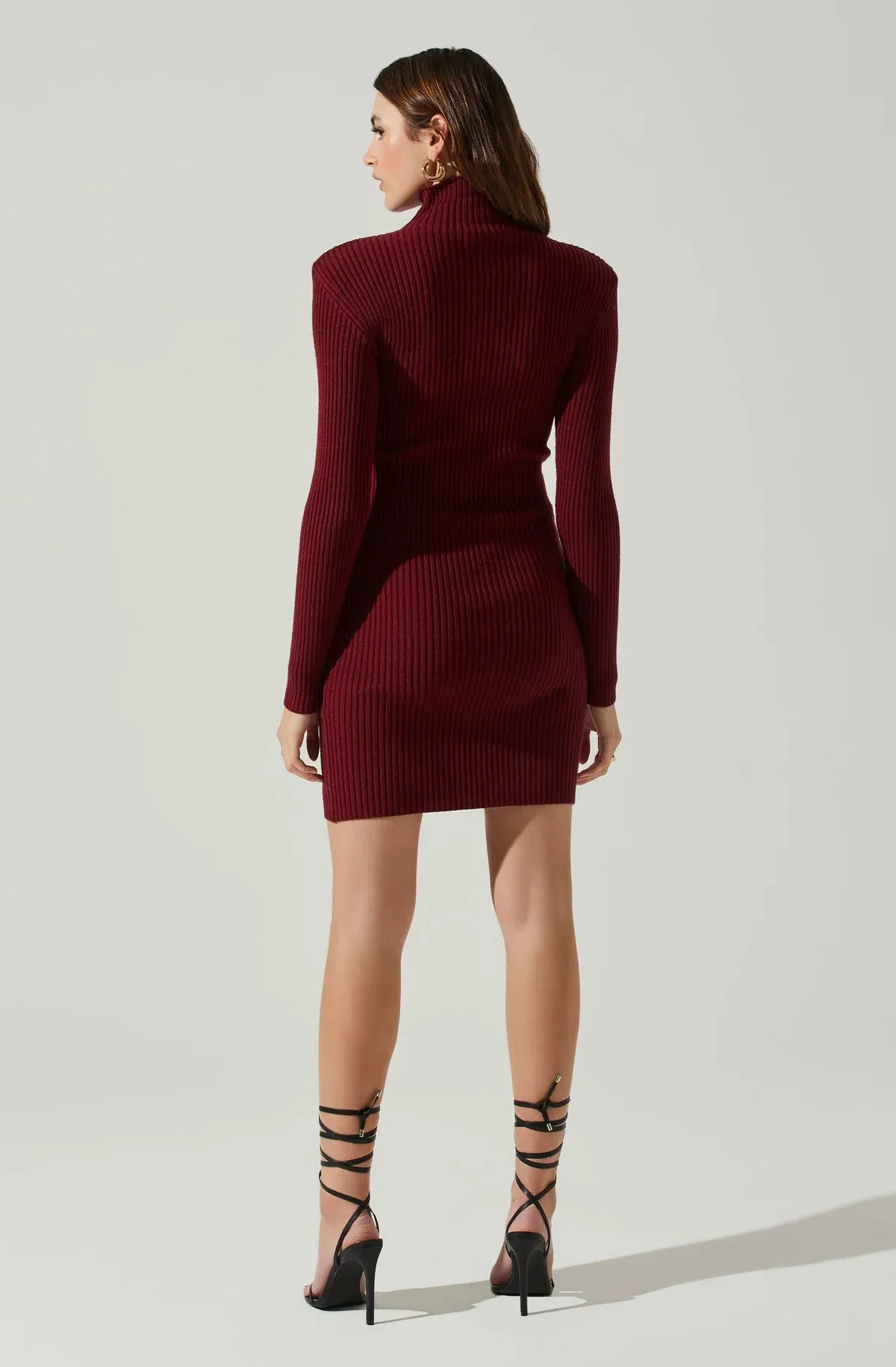 AST Gwendolyn Sweater Dress in Wine