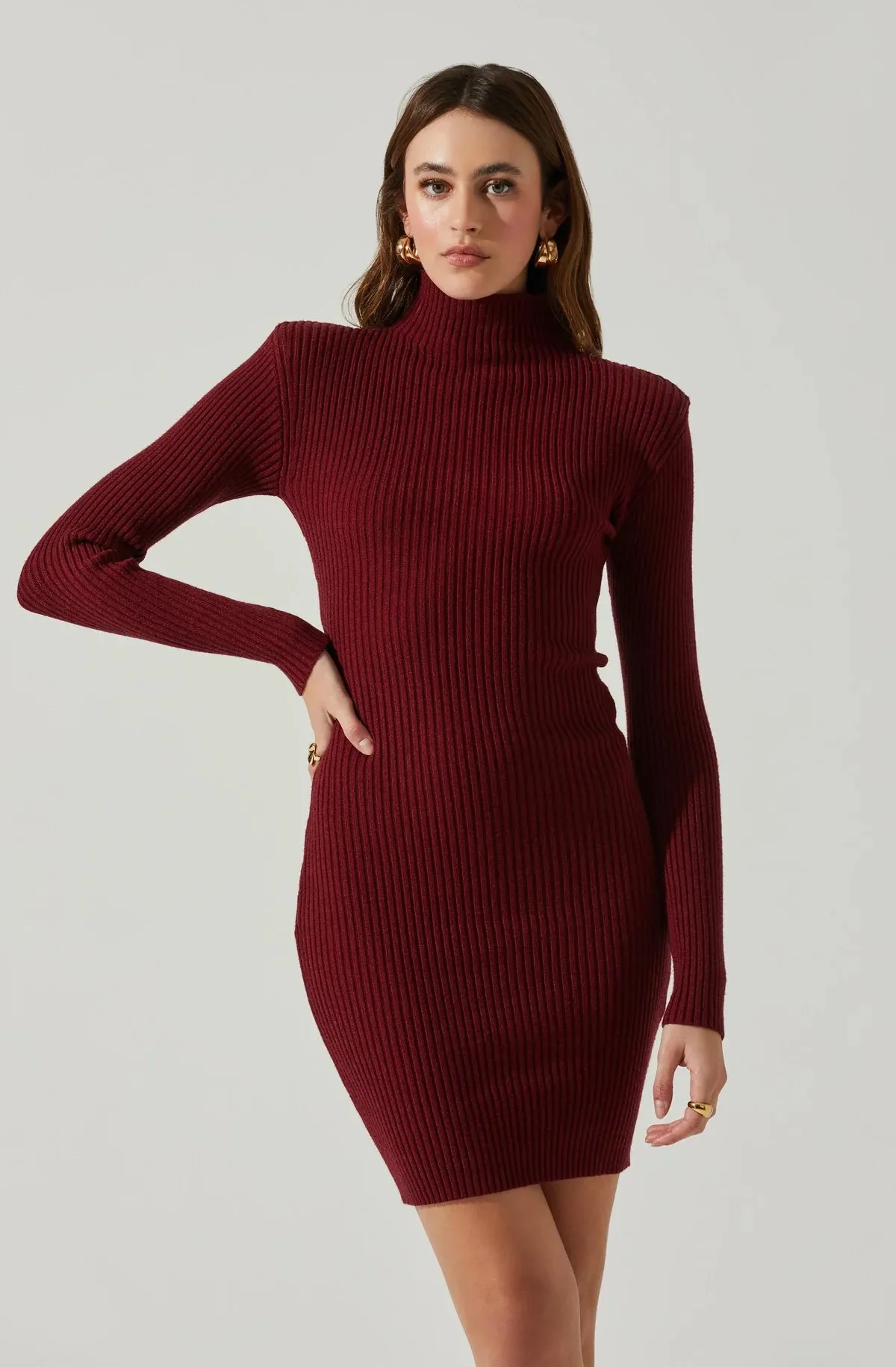 AST Gwendolyn Sweater Dress in Wine