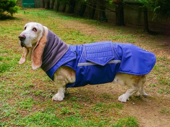 BASSET HOUND WINTER DOG COAT   NECK WARMER / MADE TO ORDER