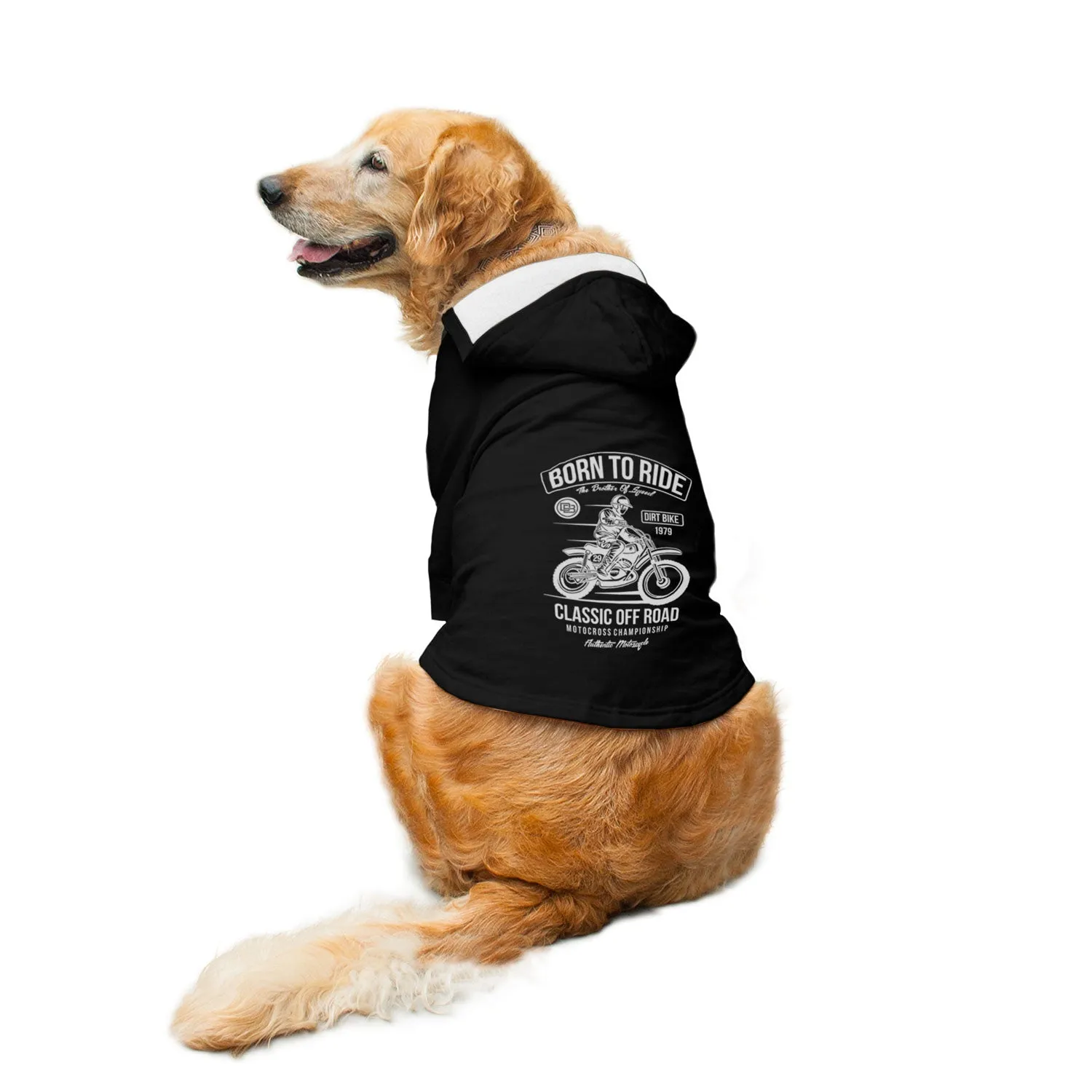 Born To Ride Dog Hoodie Jacket