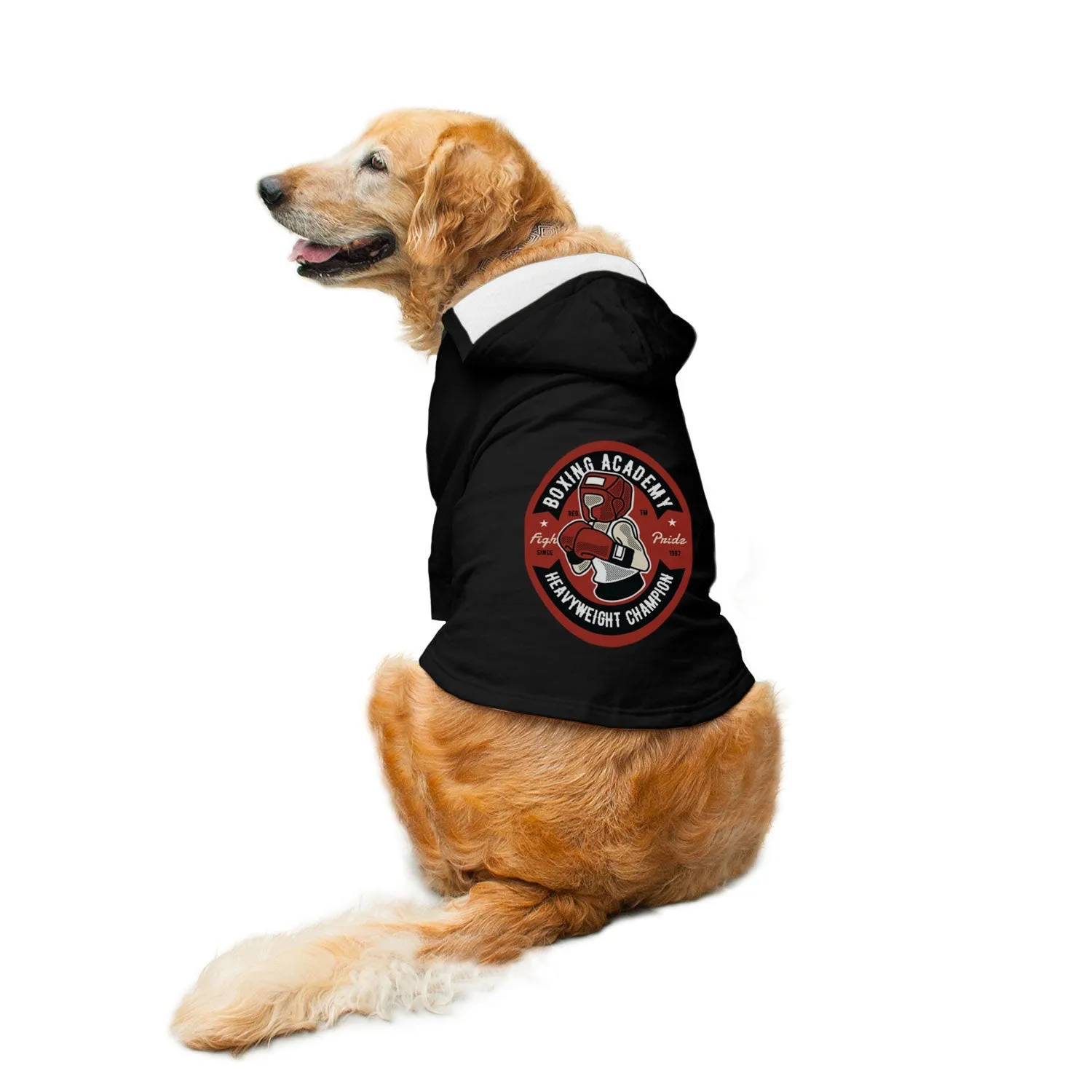 Boxing Academy Dog Hoodie Jacket