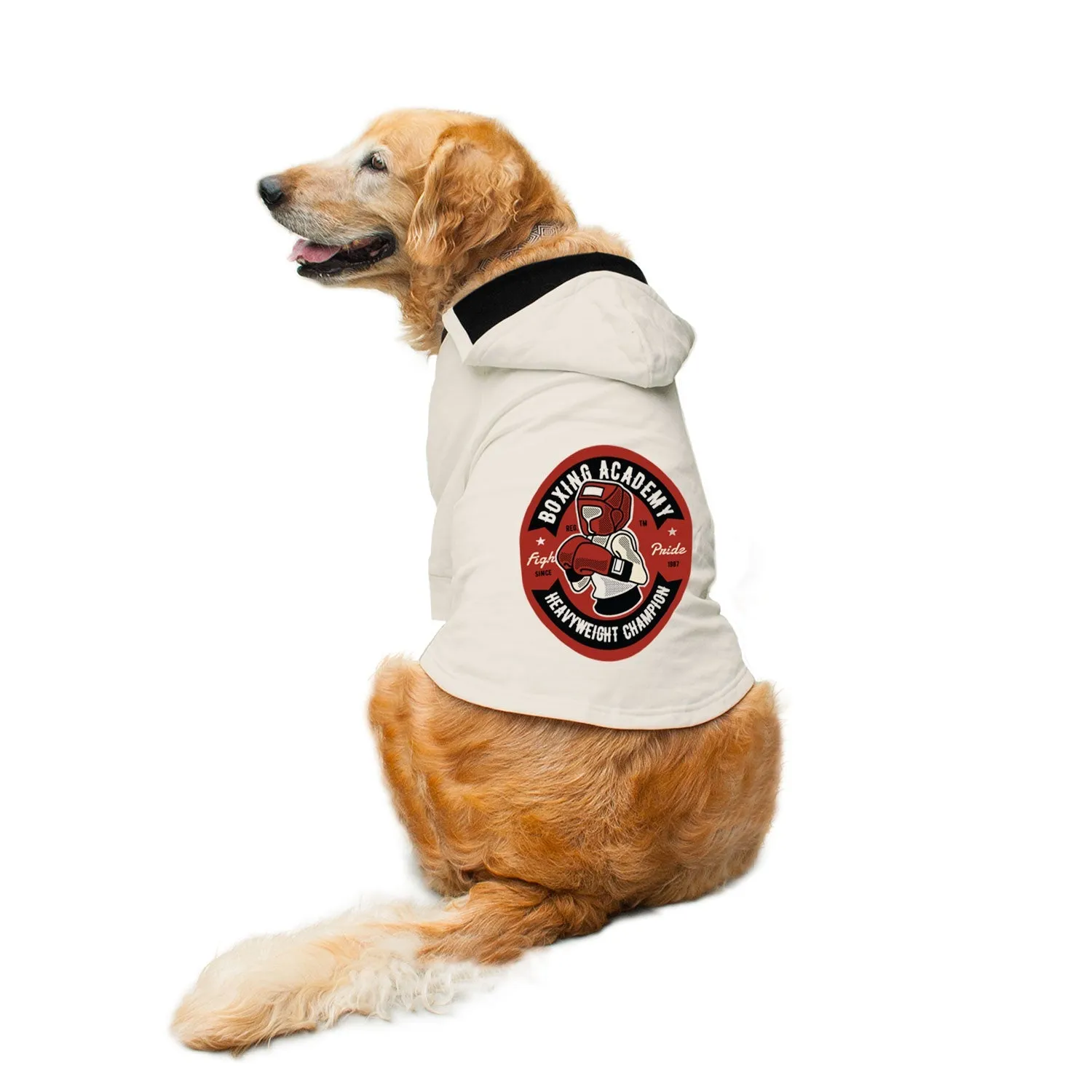 Boxing Academy Dog Hoodie Jacket