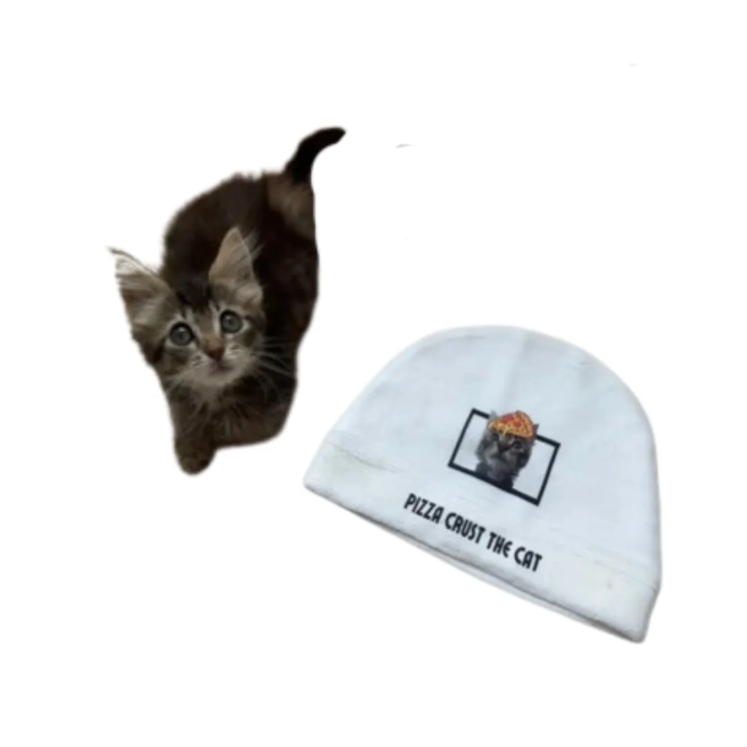 Cat beanie