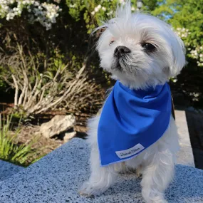 Cooling Bandana with UPF50 - Royal Blue