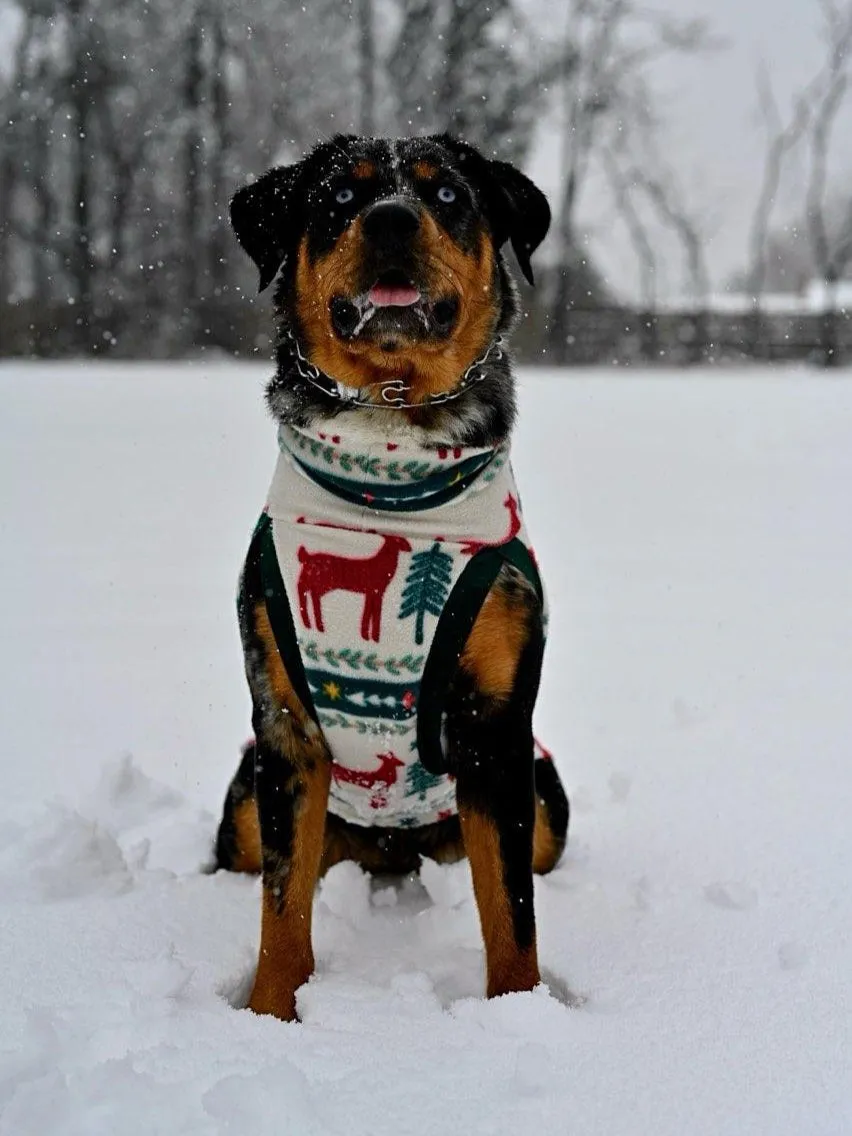 Holiday Fair Isle Dog Sweater