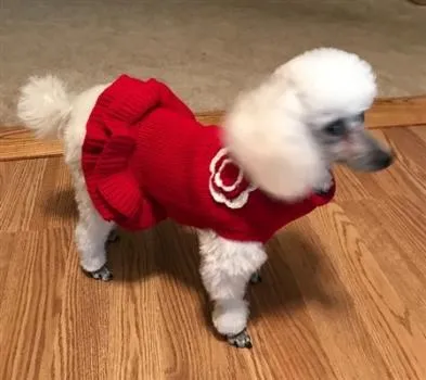 Red Sweater Dress