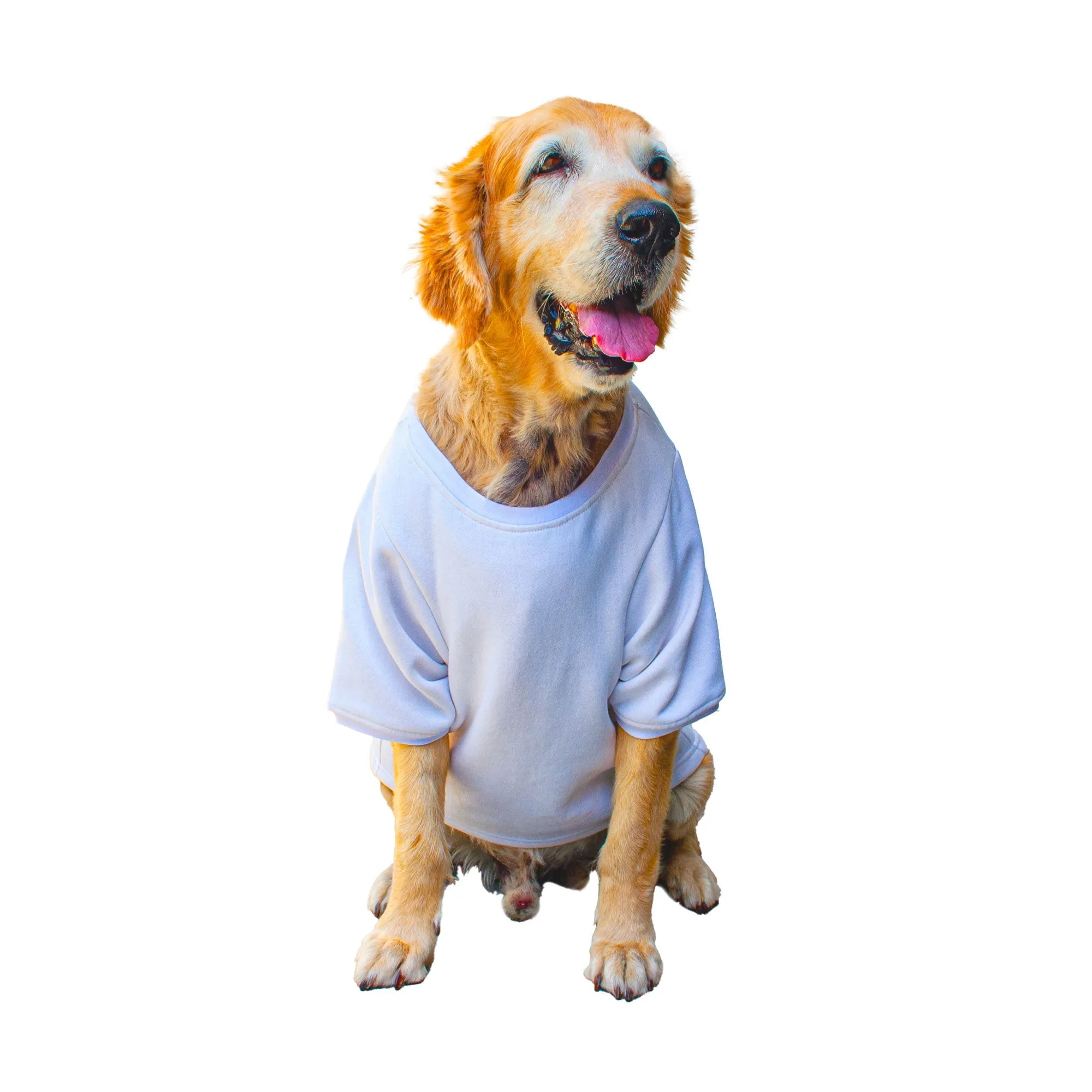 Ruse 'Basics' "Too Magical" Printed Crew Neck Full Sleeve Expedition Sweatshirt For Dogs