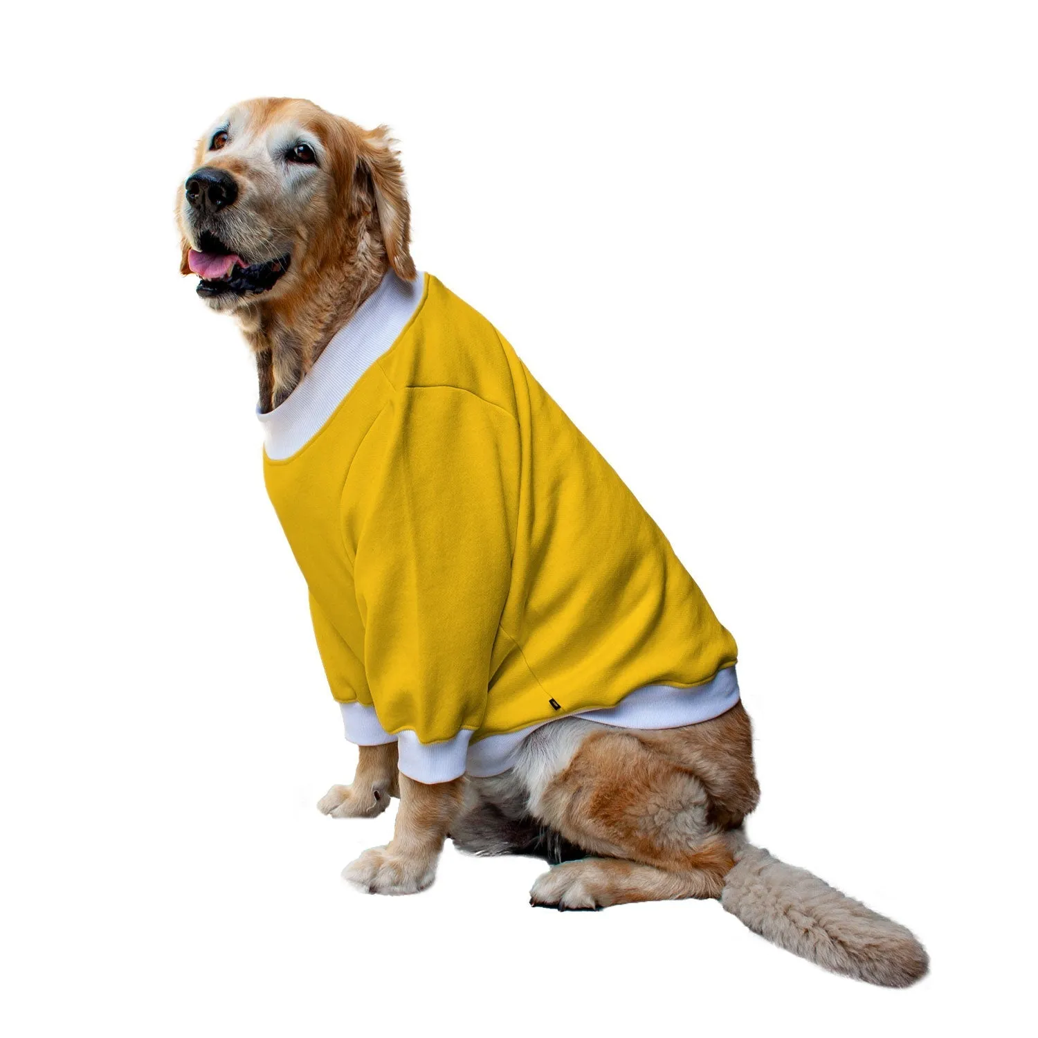 Ruse 'Basics' "Will Do Tricks For Treats" Printed Crew Neck Full Sleeve Sweatshirt For Dogs