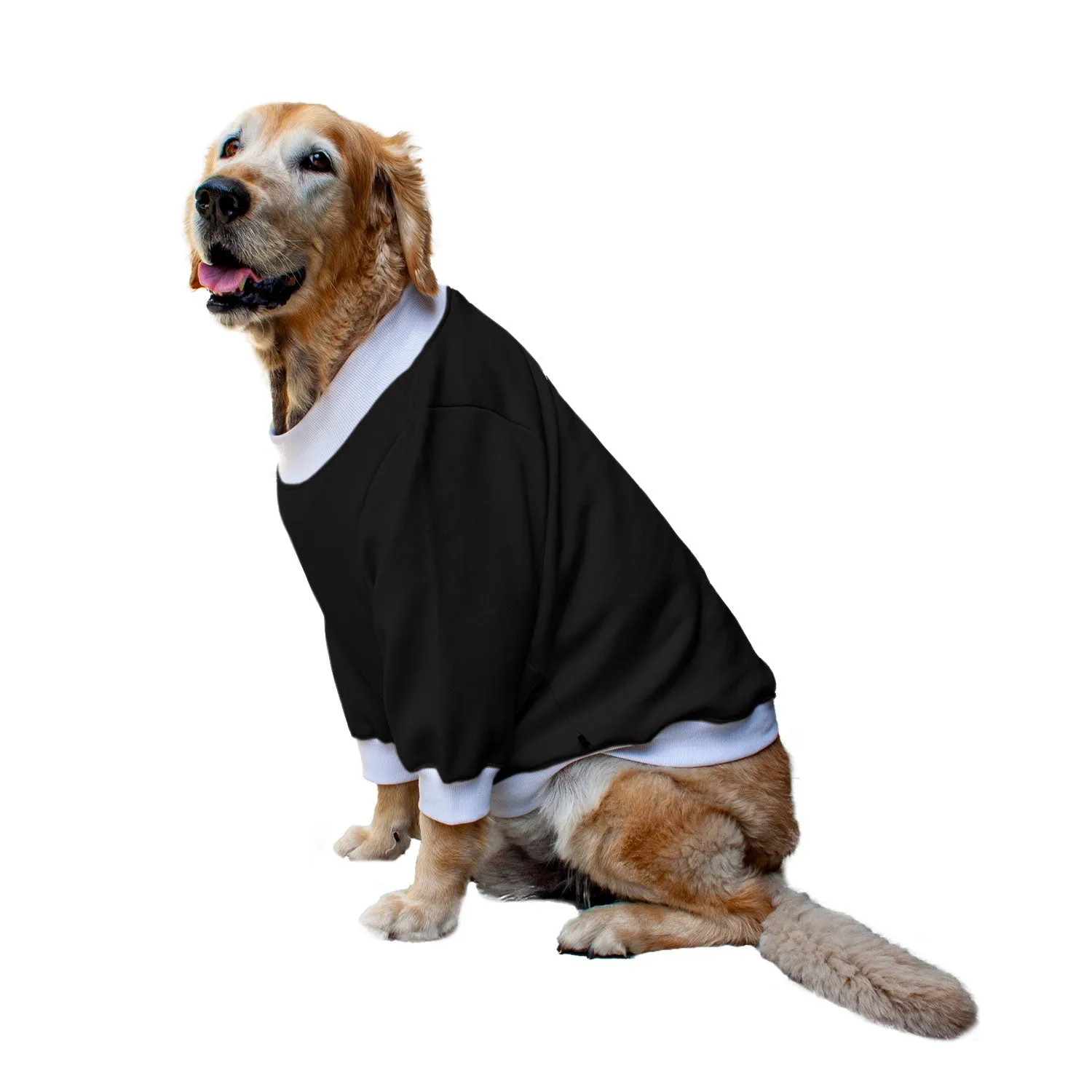 Ruse 'Basics' "Will Do Tricks For Treats" Printed Crew Neck Full Sleeve Sweatshirt For Dogs