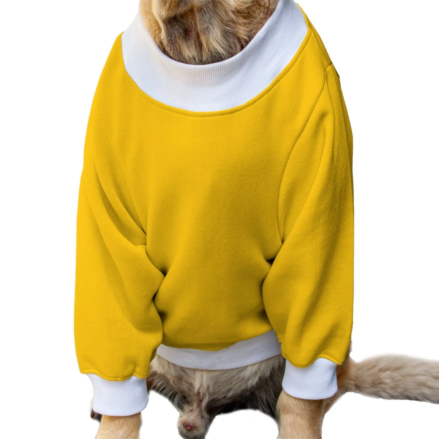 Ruse 'Basics' "Will Do Tricks For Treats" Printed Crew Neck Full Sleeve Sweatshirt For Dogs