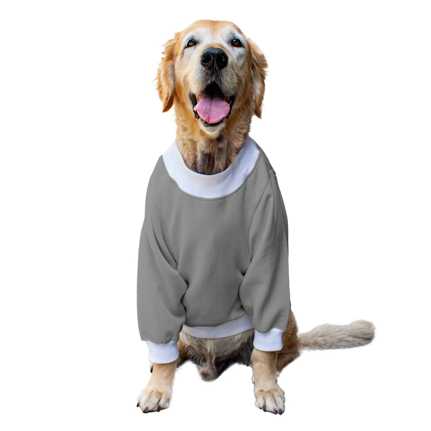 Ruse 'Basics' "Will Do Tricks For Treats" Printed Crew Neck Full Sleeve Sweatshirt For Dogs