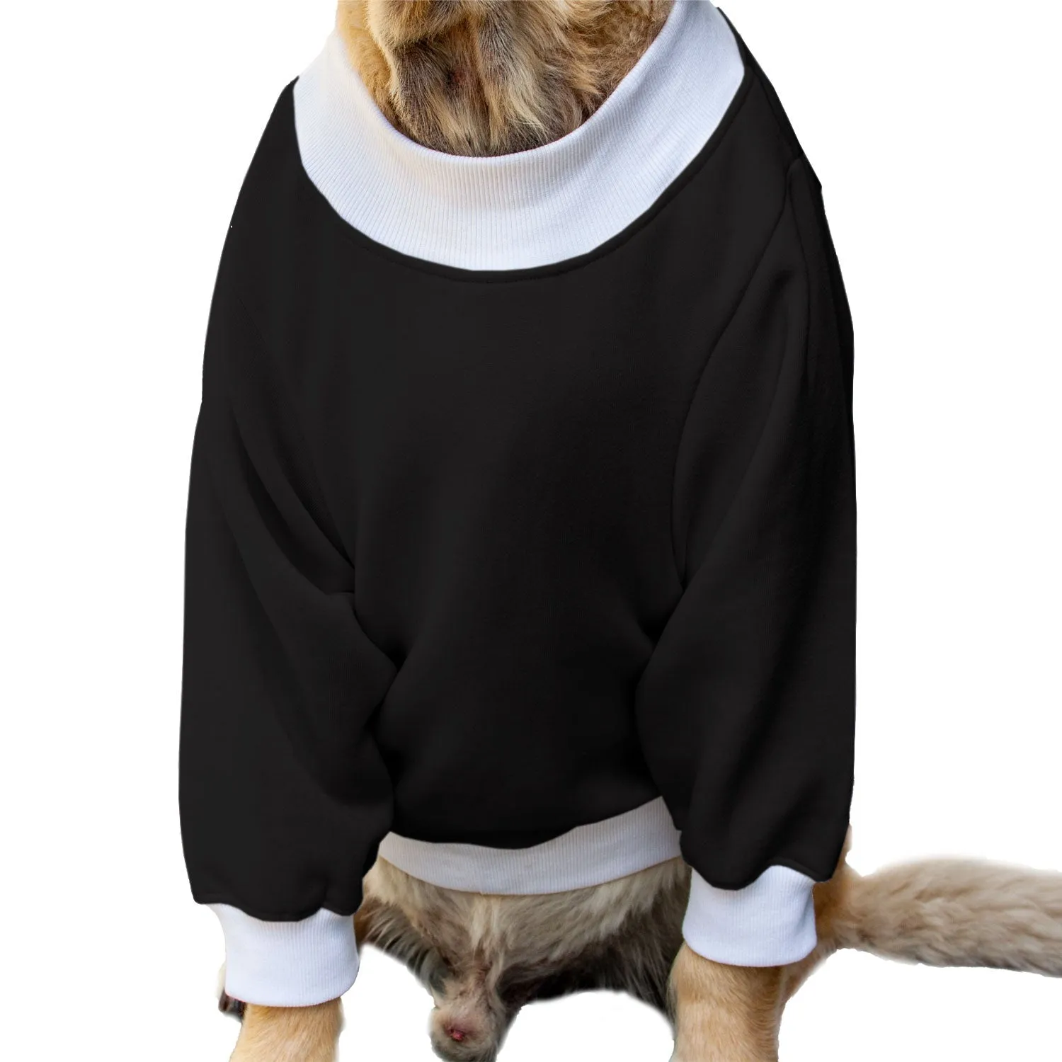 Ruse 'Basics' "Will Do Tricks For Treats" Printed Crew Neck Full Sleeve Sweatshirt For Dogs