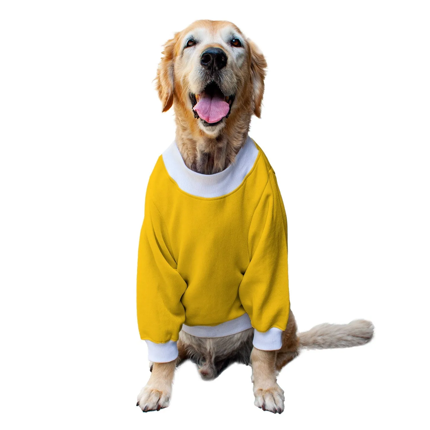 Ruse 'Basics' "Will Do Tricks For Treats" Printed Crew Neck Full Sleeve Sweatshirt For Dogs