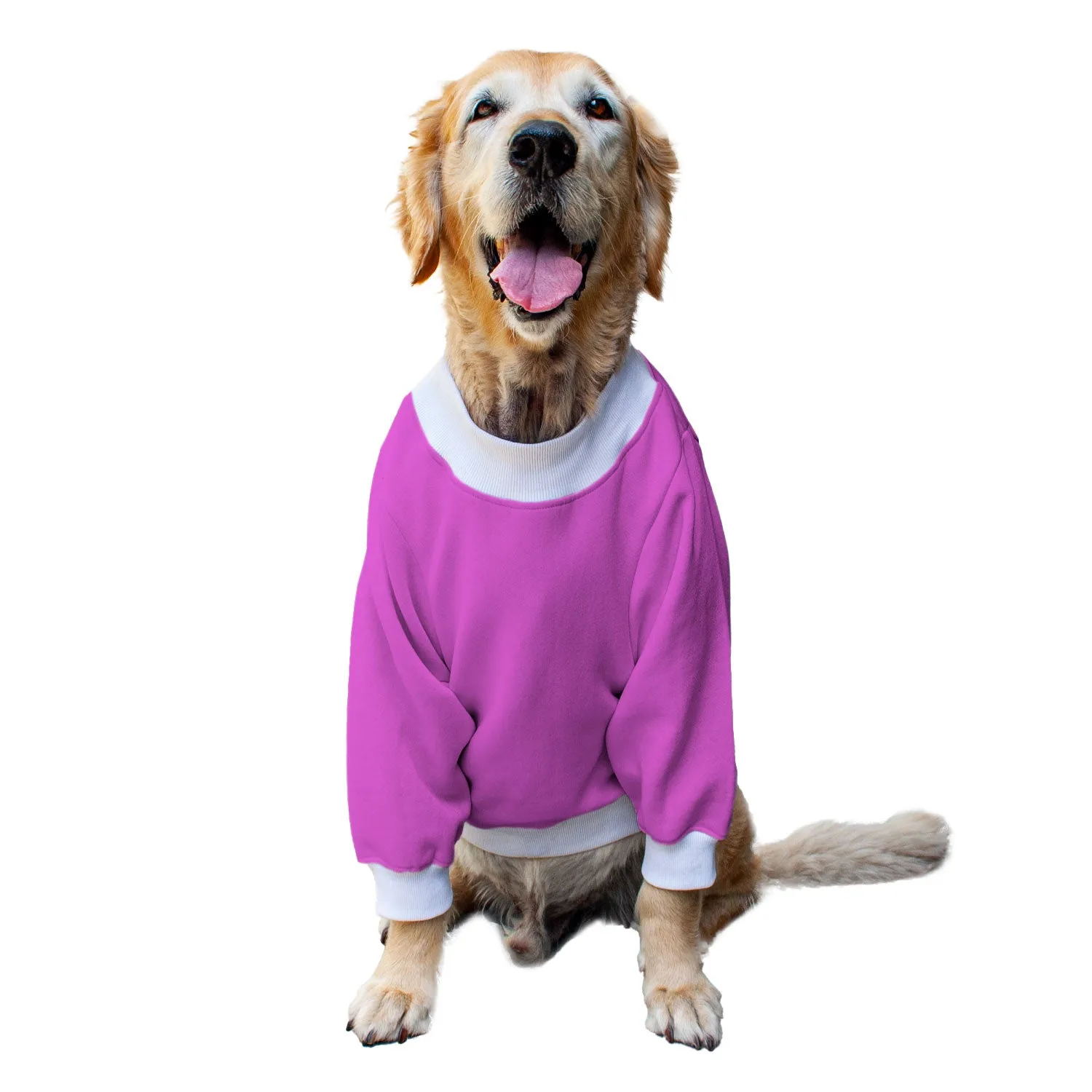 Ruse 'Basics' "Will Do Tricks For Treats" Printed Crew Neck Full Sleeve Sweatshirt For Dogs