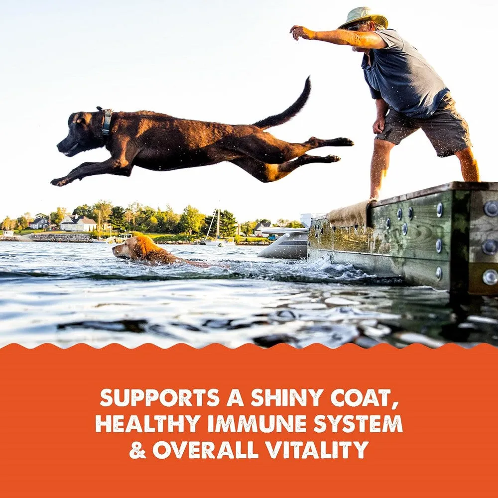 Salmon Oil Food Supplement for Dogs & Cats