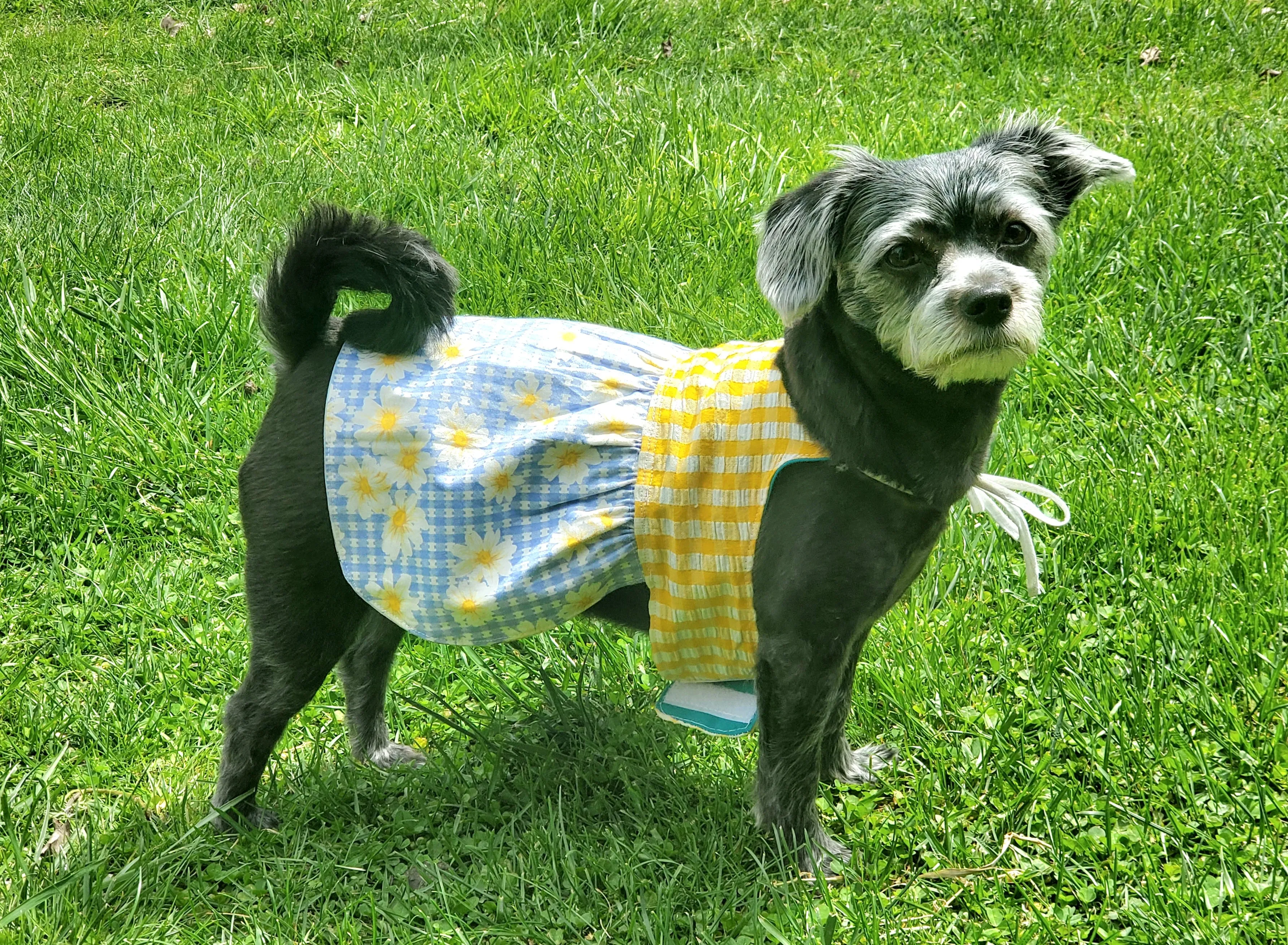 Trixie Reversible Pet Dress