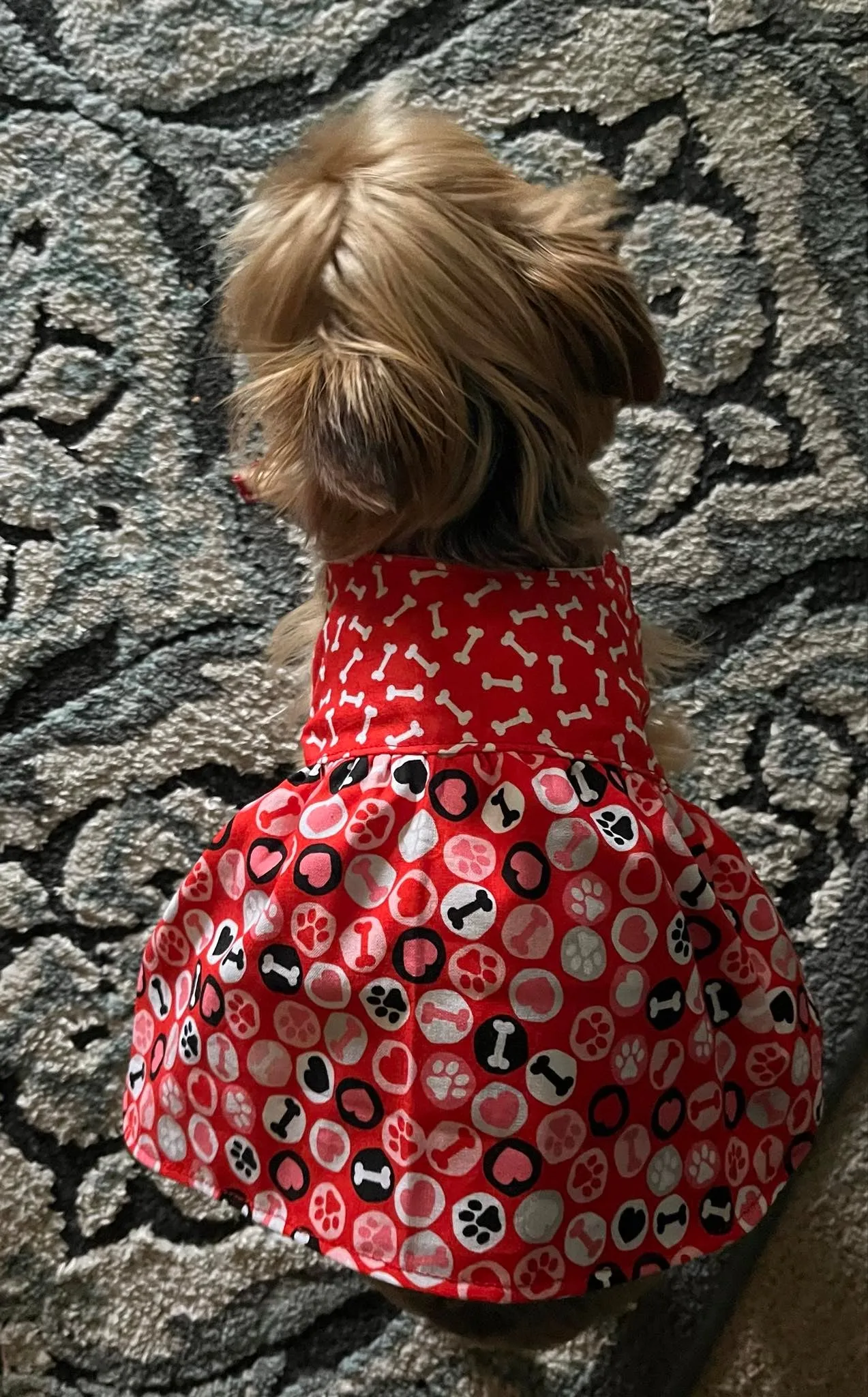 Trixie Reversible Pet Dress