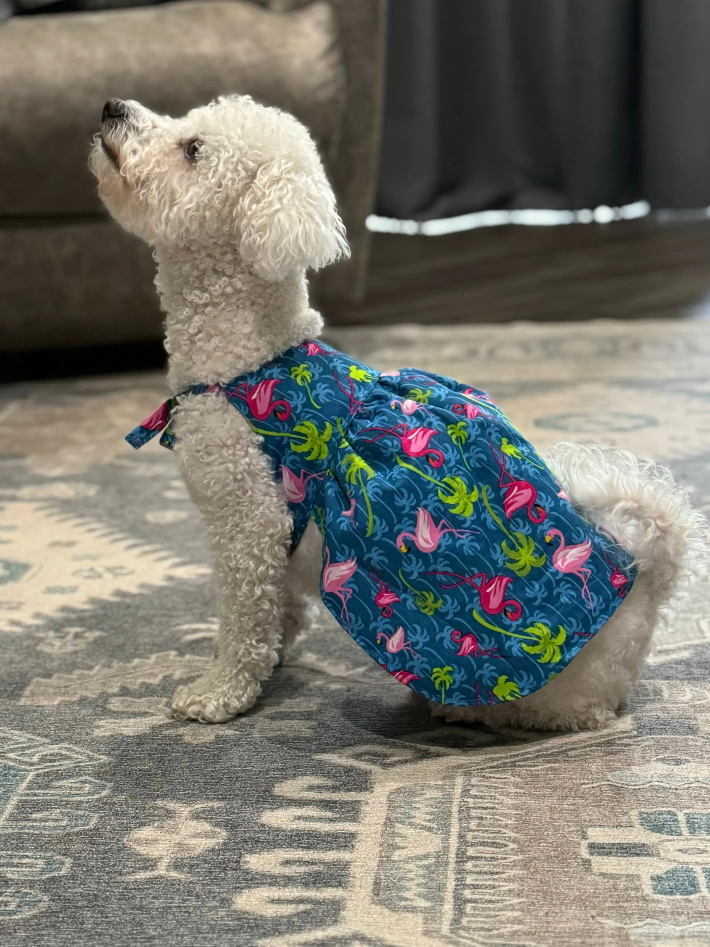 Trixie Reversible Pet Dress