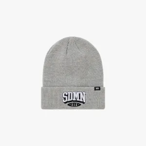 Varsity Beanie [Grey]